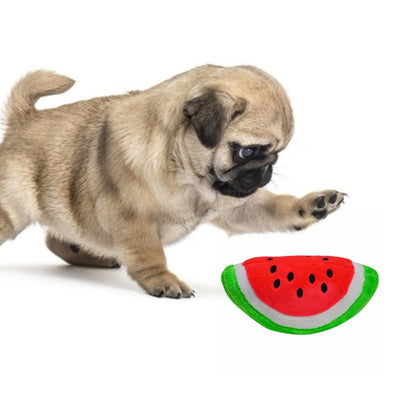 Gooddog Plush Squeaky Dog Toy | Cute Fruit-Shaped Interactive Toy for Dogs & Puppies