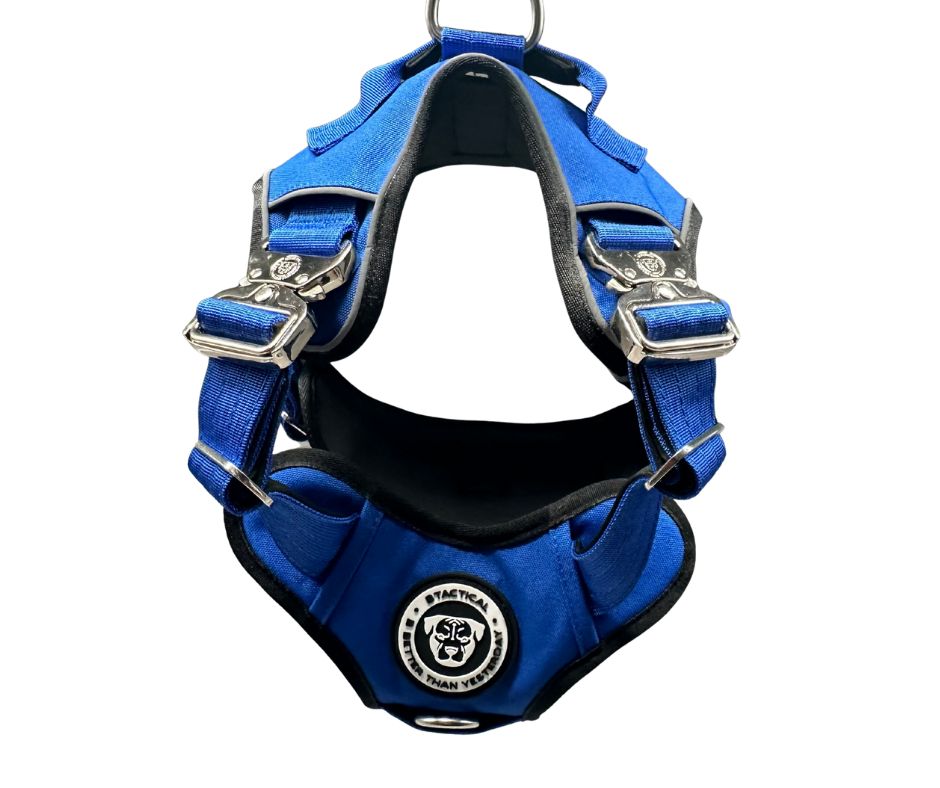 Royal blue BTactical No Pull Ultimate dog harness with adjustable straps and padded handle for comfortable control.
