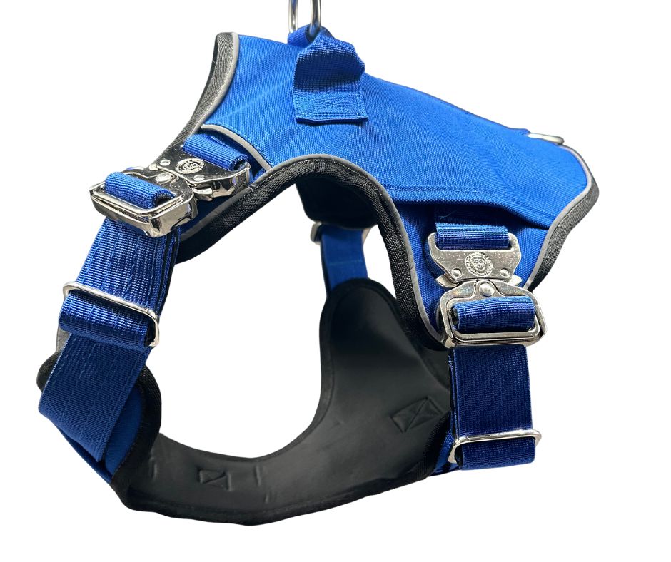 Royal blue BTactical dog collar from The No Pull Ultimate BTactical™ Harness collection, featuring durable design and secure fit.