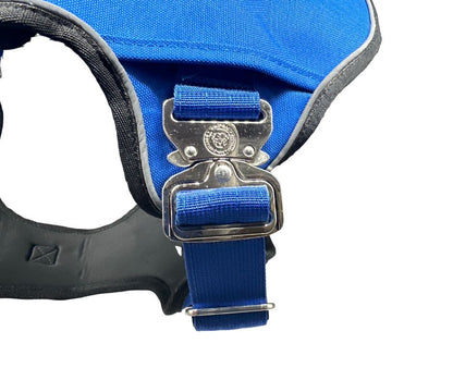 Royal blue BTactical dog harness, The No Pull Ultimate BTactical™ harness with adjustable straps and reflective accents.