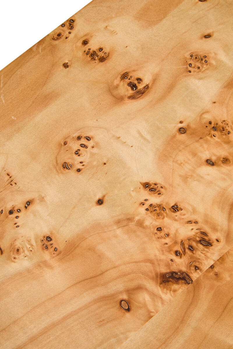 Natural Burl wood curved coffee table with smooth edges by Orsina, showcasing warm wood grain and crafted design.