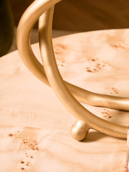 Natural Burl wood round coffee table with drum shape design by Orsina, showcasing smooth wood grain and modern style.