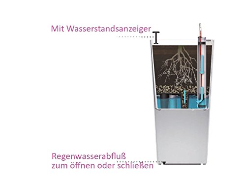Dehner Elise Plastic Planter with Self-Watering System