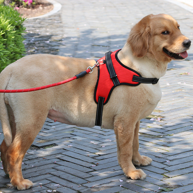 New Nylon Medium Large Dog Harness Collar | Padded Reflective K9 Dog Vest