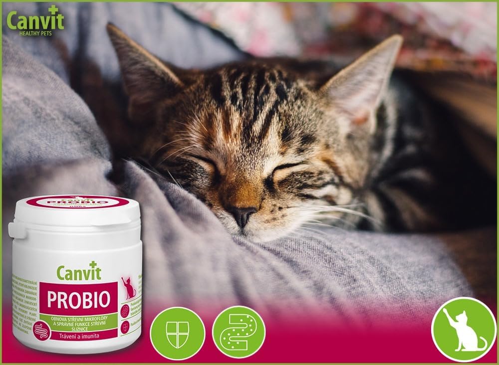 Canvit Probio for Cats probiotic supplement in 100g container, showing a jar with the product label and a cat sitting nearby.