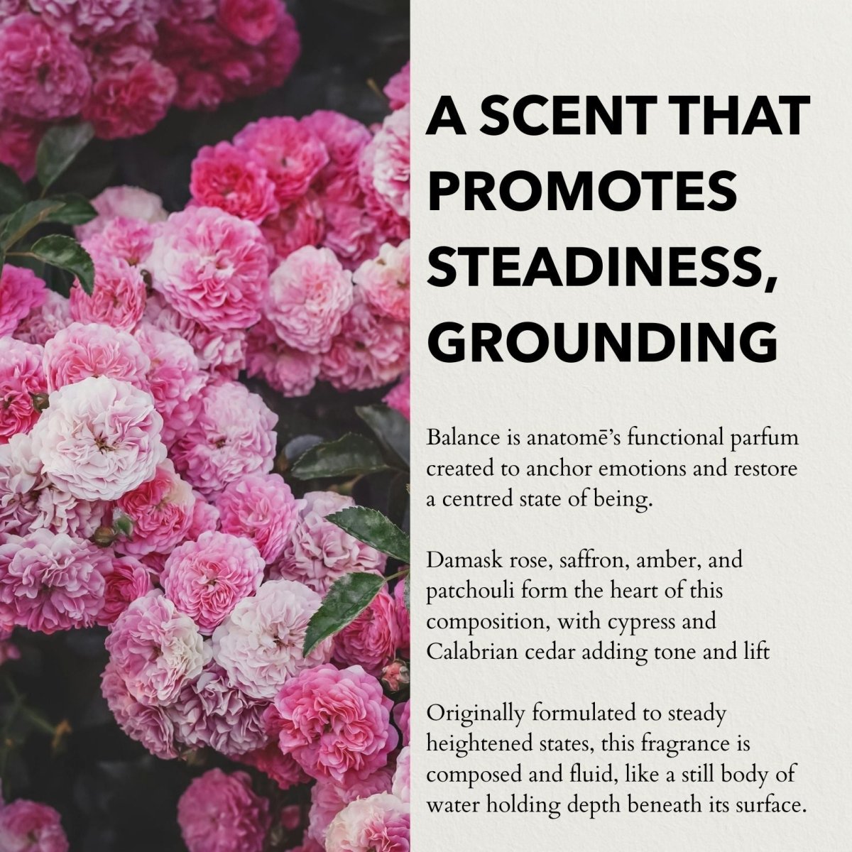 Anatomē Balance Functional Perfume in a 10ml travel-sized bottle with elegant packaging.