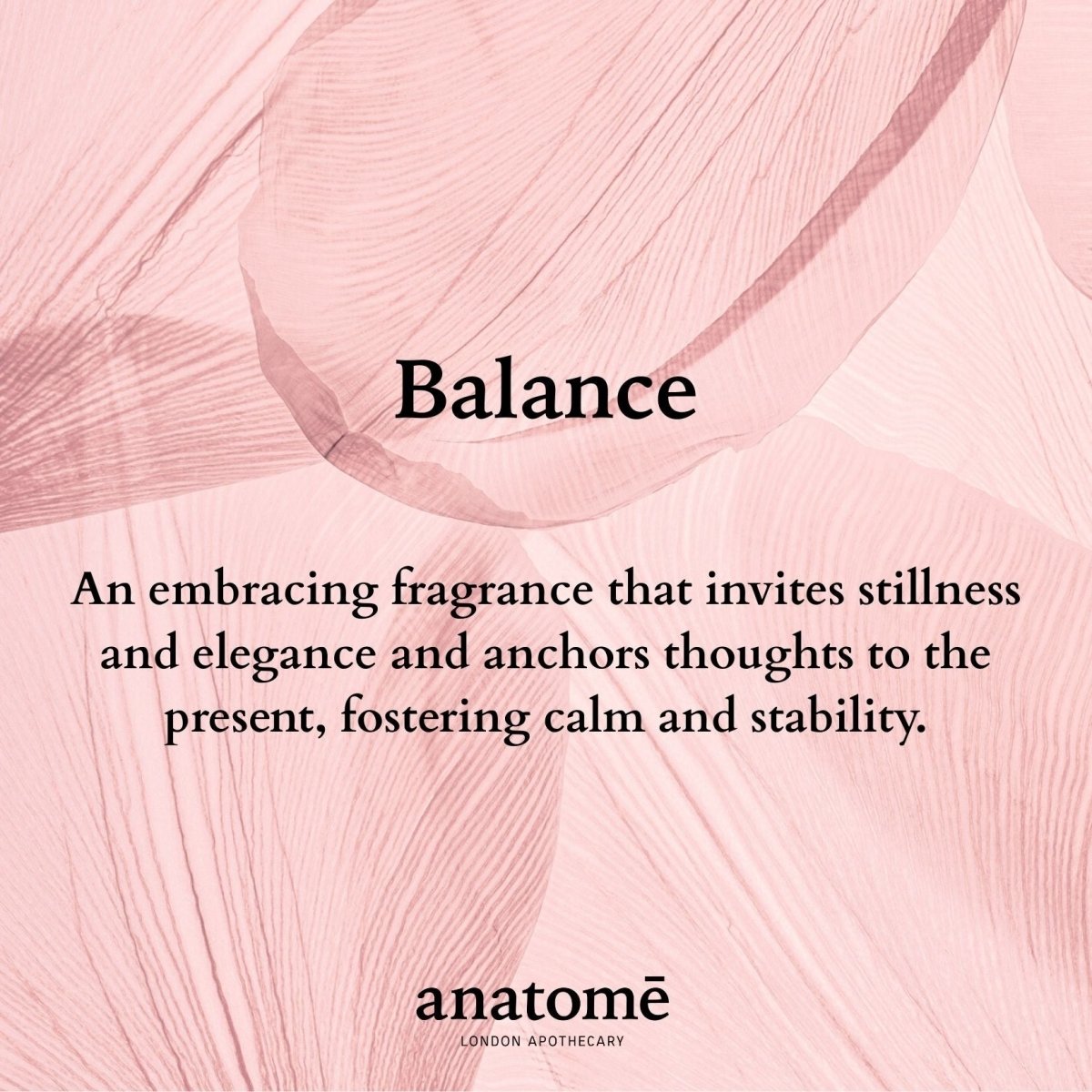 Anatomē Balance Functional Perfume in a 10ml travel-sized bottle, showcasing elegant packaging and subtle fragrance details.