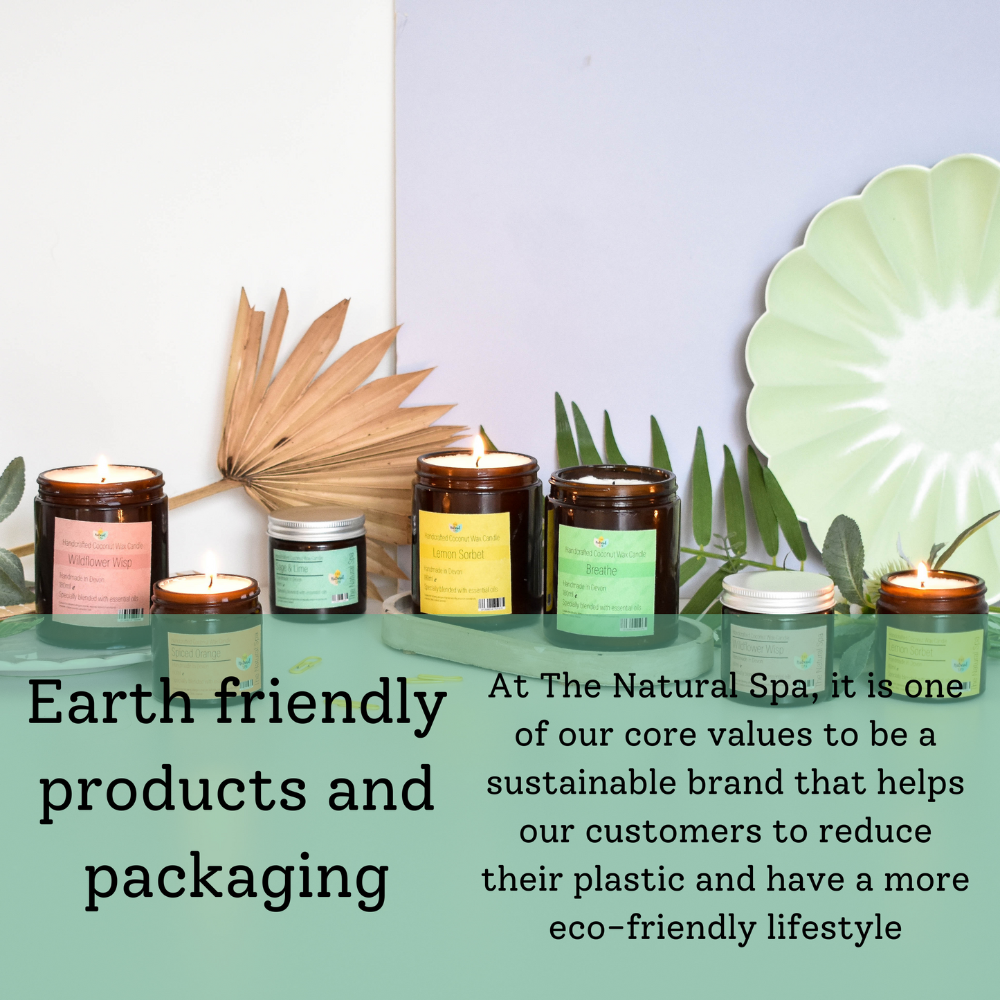 Sage and lime scented coconut wax candle by thenaturalspa in packaging, available in two size options.