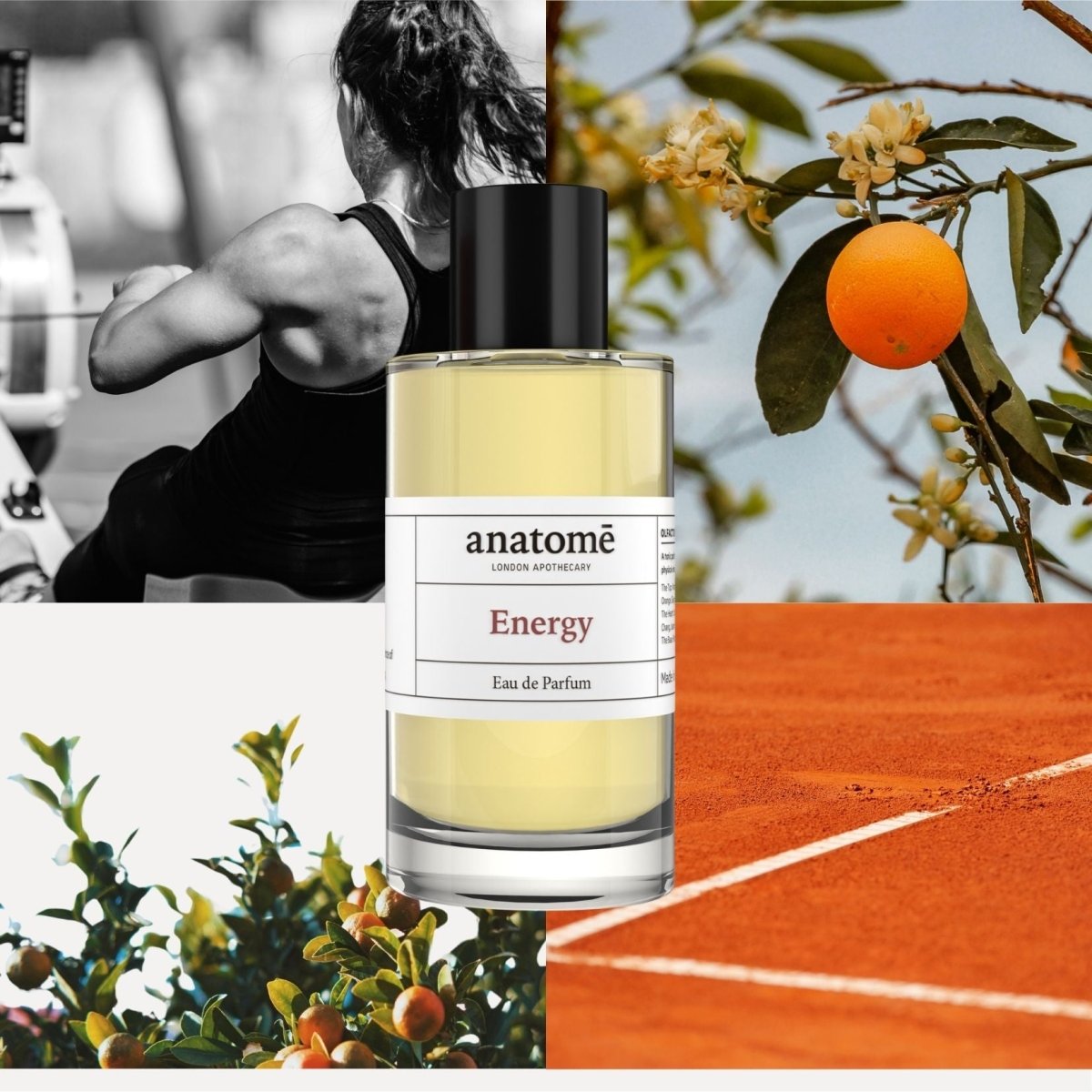 Anatomē Energy Functional Perfume bottle with sleek design, showcasing the elegant fragrance packaging.