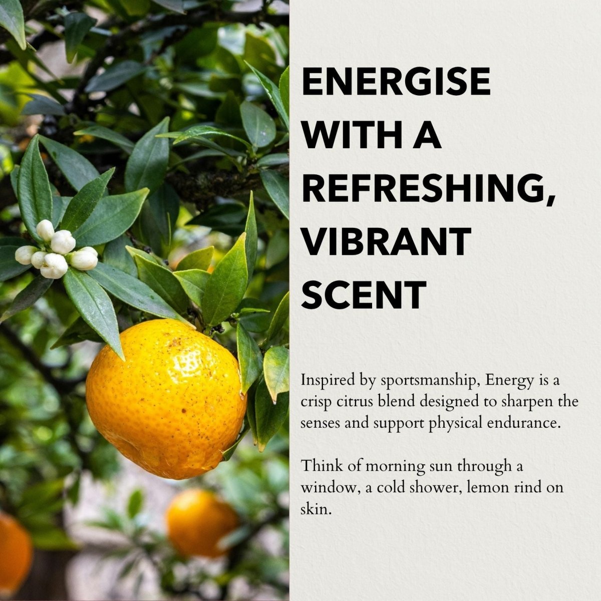 Anatomē Energy Functional perfume bottle with sleek design, showcasing the elegant packaging and branding.