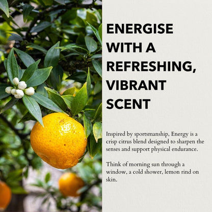 Anatomē Energy Functional perfume bottle with sleek design, showcasing the elegant packaging and branding.