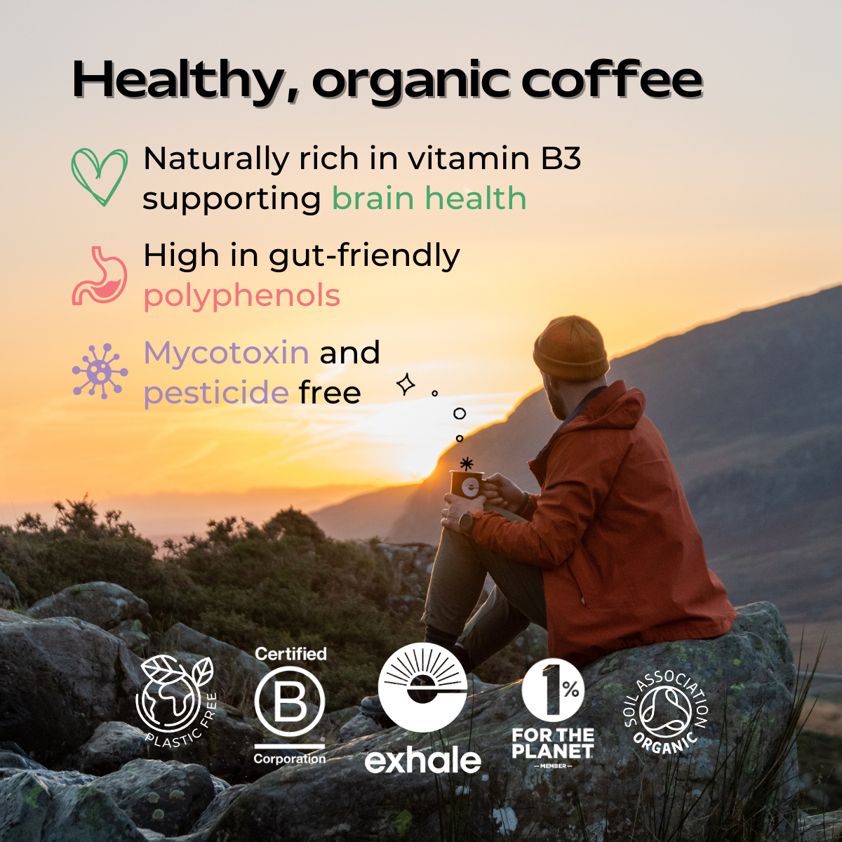 Organic decaf coffee from Exhale Healthy Coffee, showing a brewed coffee cup with a rich, dark color and fresh coffee beans.