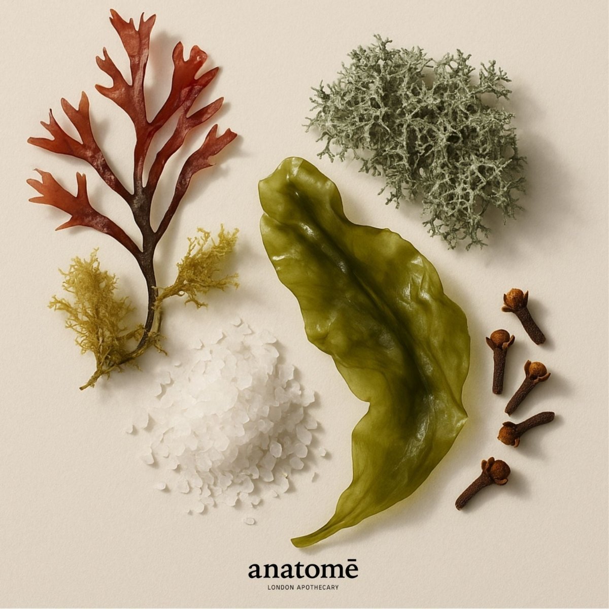 Anatomē Expression Functional Parfum in a 10ml travel spray bottle, showcasing elegant packaging and design.