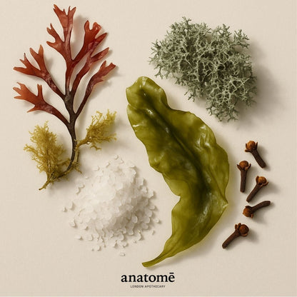 Anatomē Expression Functional Parfum in a 10ml travel spray bottle, showcasing elegant packaging and design.