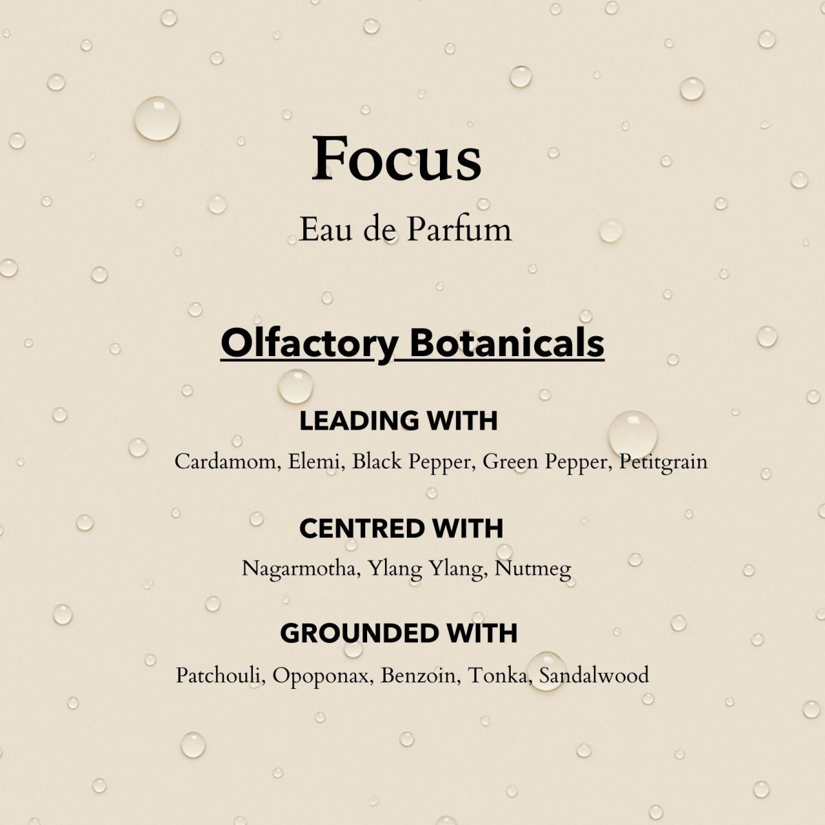 Anatomē Focus Functional Perfume in a 10ml travel-sized bottle, featuring a sleek design and clear branding on the label.