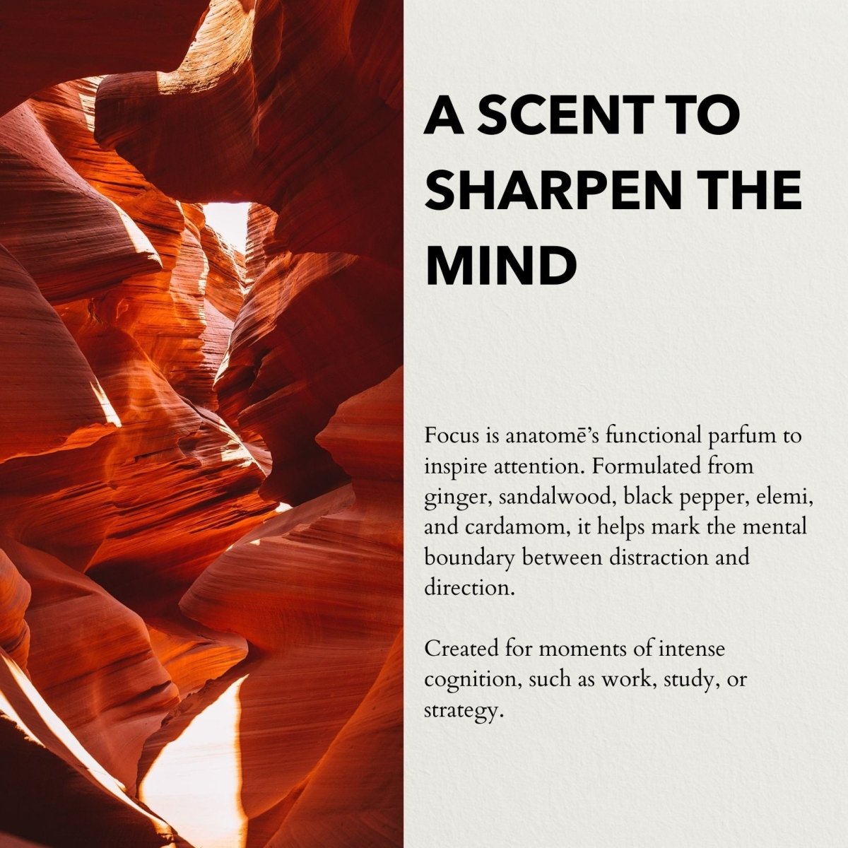 Anatomē Focus Functional Perfume bottle, 10ml travel size, with sleek design and clear label, showcasing the perfume for mental clarity.