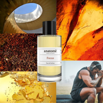 Anatomē Focus Functional Perfume in a 10ml travel-sized bottle, showcasing elegant packaging and branding.