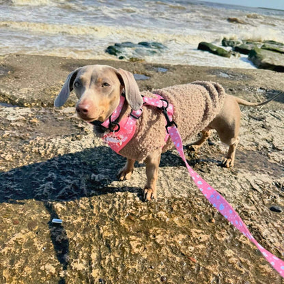 Peachy Hearts dog lead by PupClub Couture featuring a vibrant peach and pink heart pattern on durable nylon.