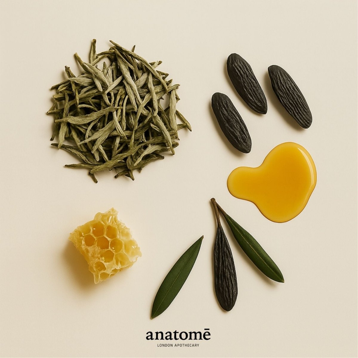 Travel-sized anatomē Anatome functional perfume in a sleek 10ml bottle, designed for a subtle, aromatic scent experience.