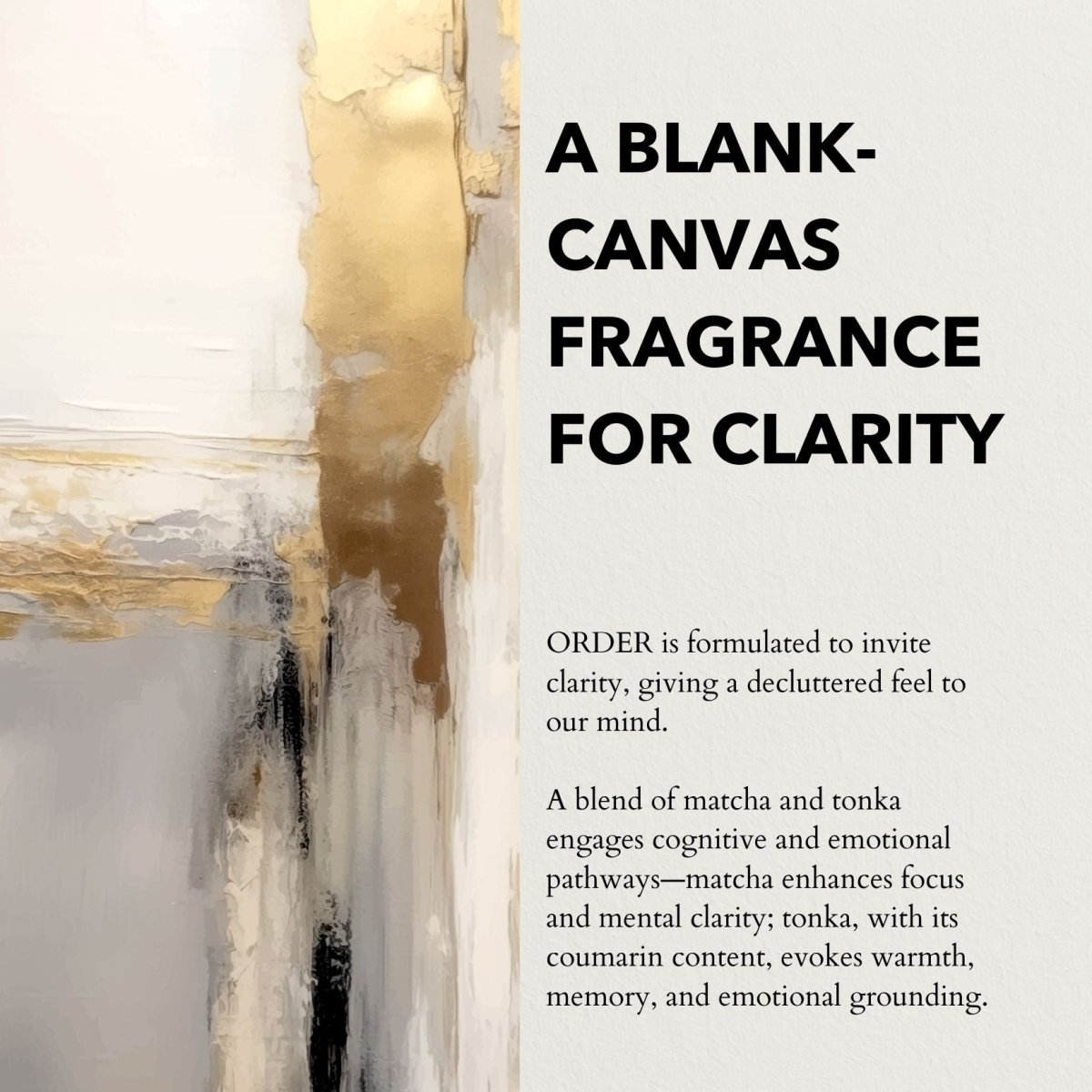 Anatomē Order Functional Perfume in a 10ml travel-size bottle, featuring elegant glass packaging and a sleek design.