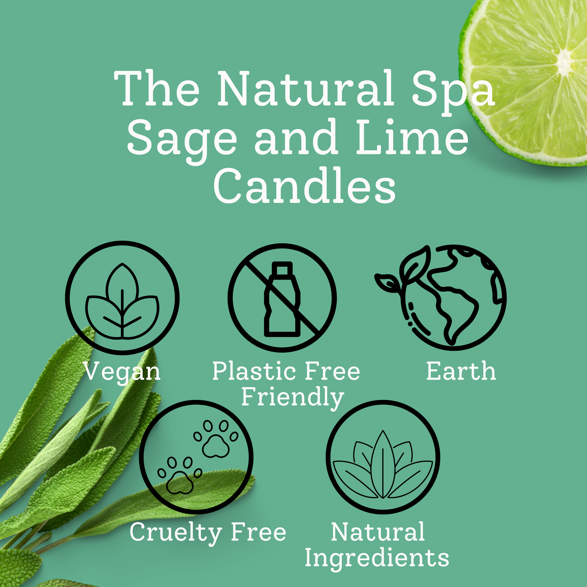 Sage and lime hand-poured coconut wax candle by thenaturalspa in two size options, with a clean, minimalist candle holder and natural decor.