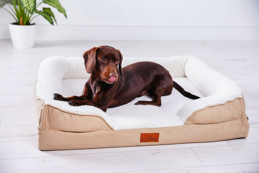 Medium Belgravia Orthopaedic Dog Sofa by Snug n Woof with plush cushions and sturdy frame, designed for comfort and support.