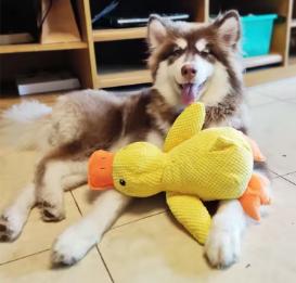 Soft plush duck toy for dogs by TrendHomeDepot, designed for comfort and playful companionship.