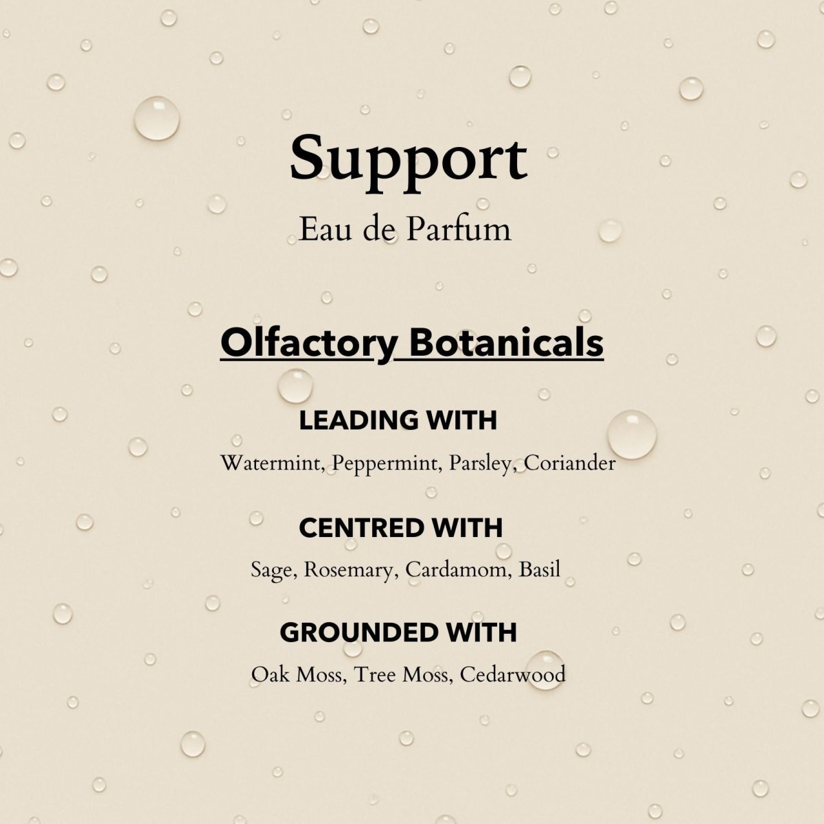 Anatomē Support Functional perfume bottle, 10ml, elegant glass container with minimalist design and label.