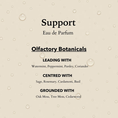 Anatomē Support Functional perfume bottle, 10ml, elegant glass container with minimalist design and label.