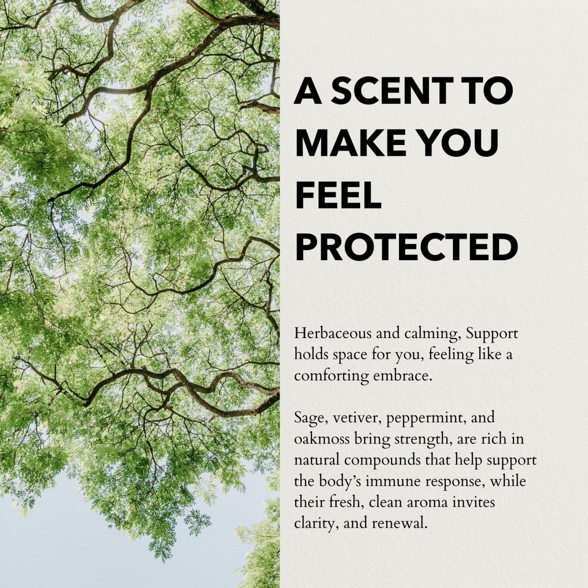 Support Functional perfume by anatomē, 10ml fragrance bottle featuring elegant packaging and a sleek design.