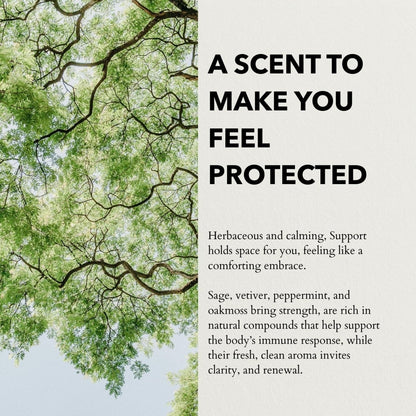 Support Functional perfume by anatomē, 10ml fragrance bottle featuring elegant packaging and a sleek design.