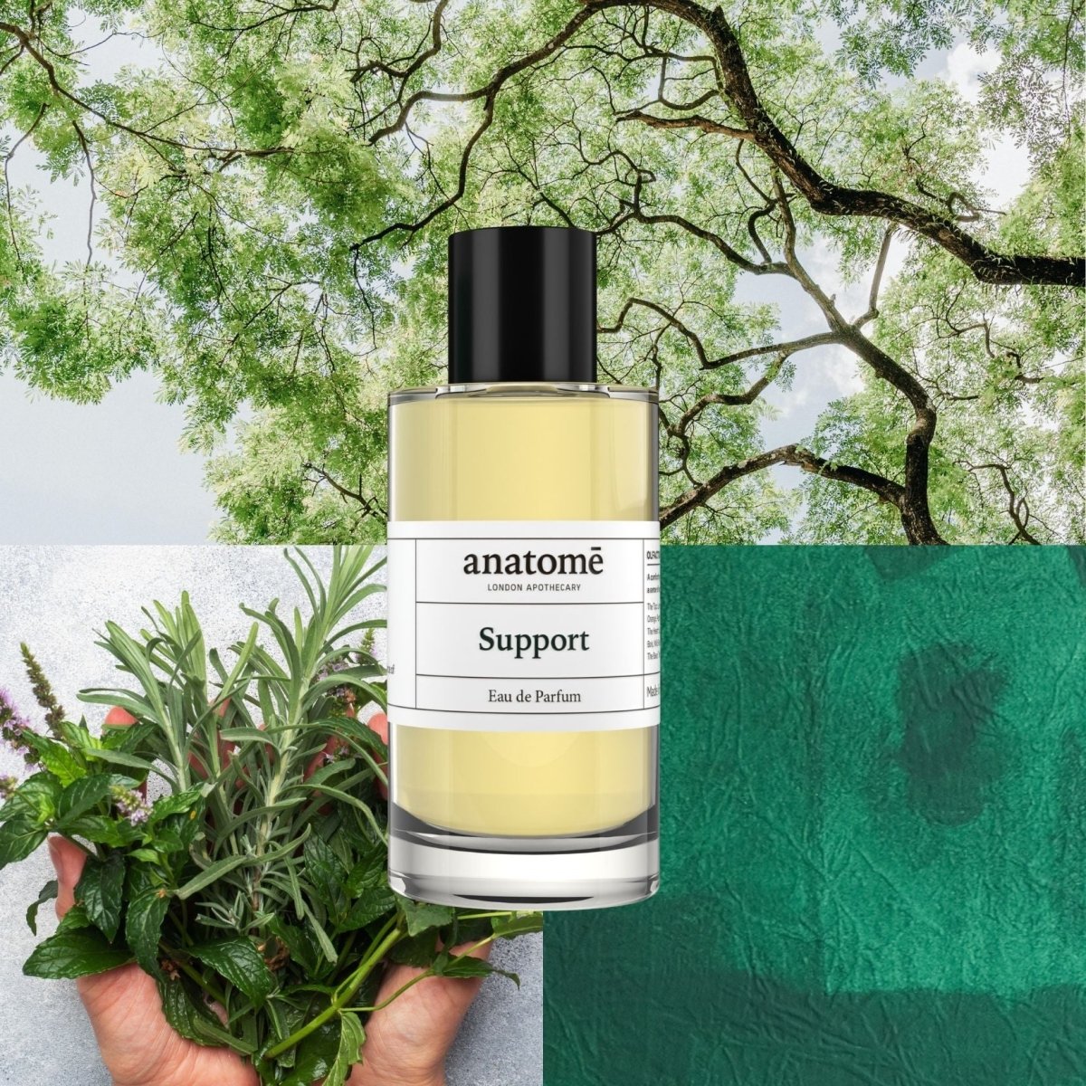 Anatomē Support Functional perfume bottle, 10ml, with sleek glass design and minimalist label, showcasing elegant branding.