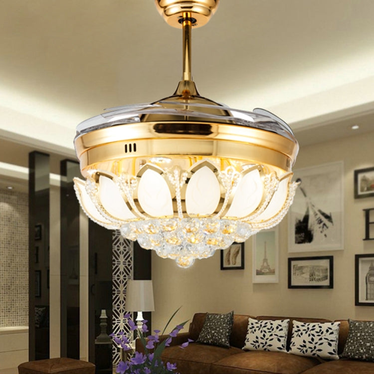 Modern ceiling light fixture from Mira Sales blending luxury lighting and smart cooling features in a stylish home and garden setting.