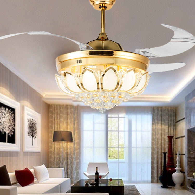 Modern ceiling light fixture by Mira Sales, combining luxury lighting with smart cooling features for stylish home decor.