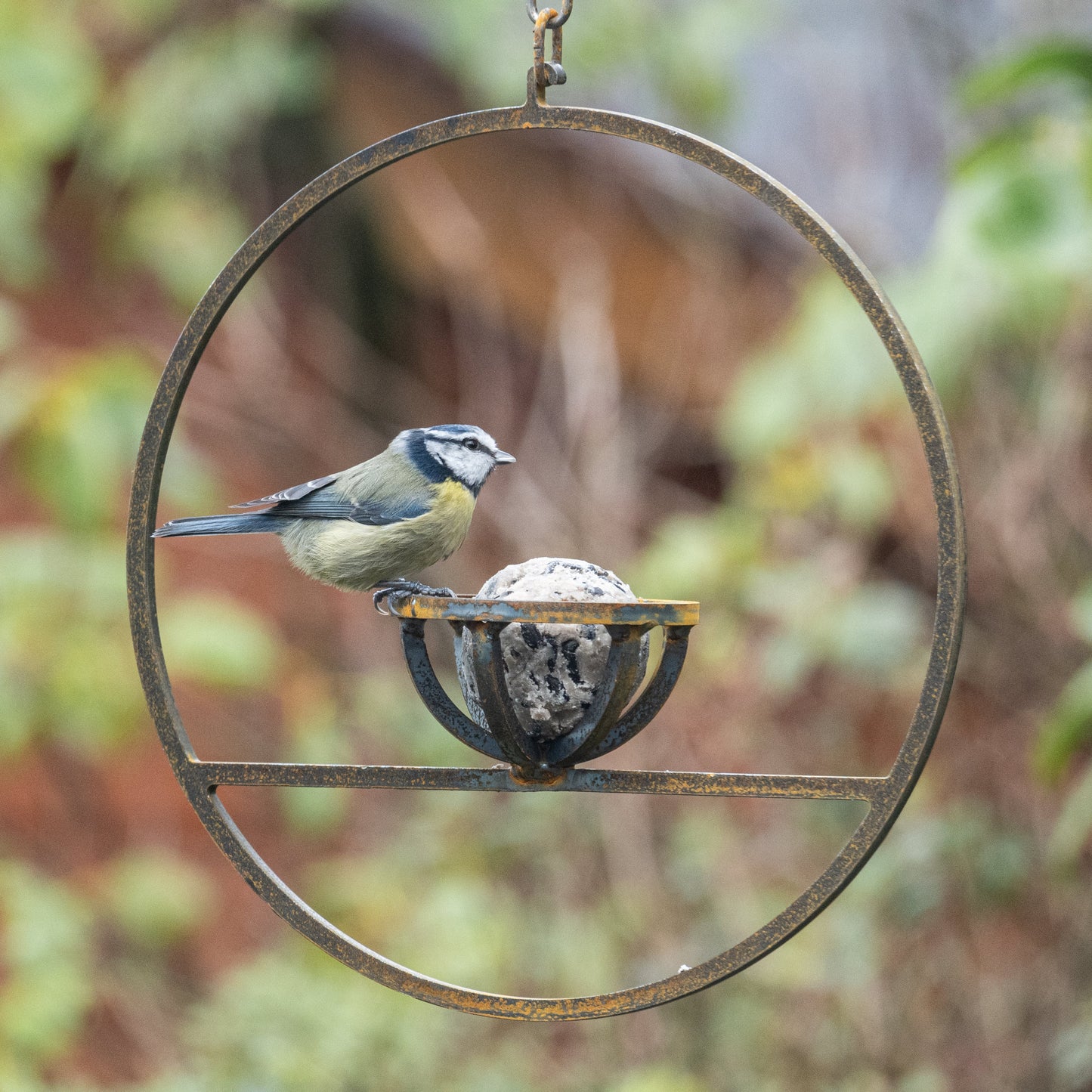 SavageWorksUK hanging Fat Ball bird feeder with metal hook for outdoor bird feeding, shown in close-up detail.