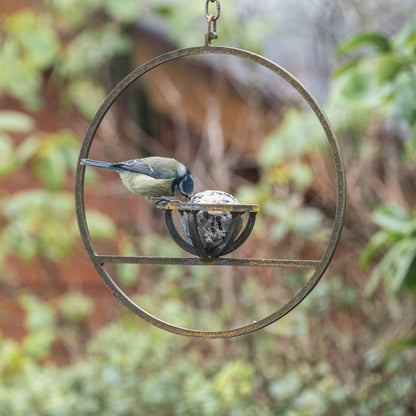 Savageworksuk hanging fat ball bird feeder with a clear container and metal hook for attracting garden birds.