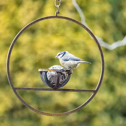 Savageworksuk hanging fat ball bird feeder with metal hook and clear plastic container for bird seed and fat balls.