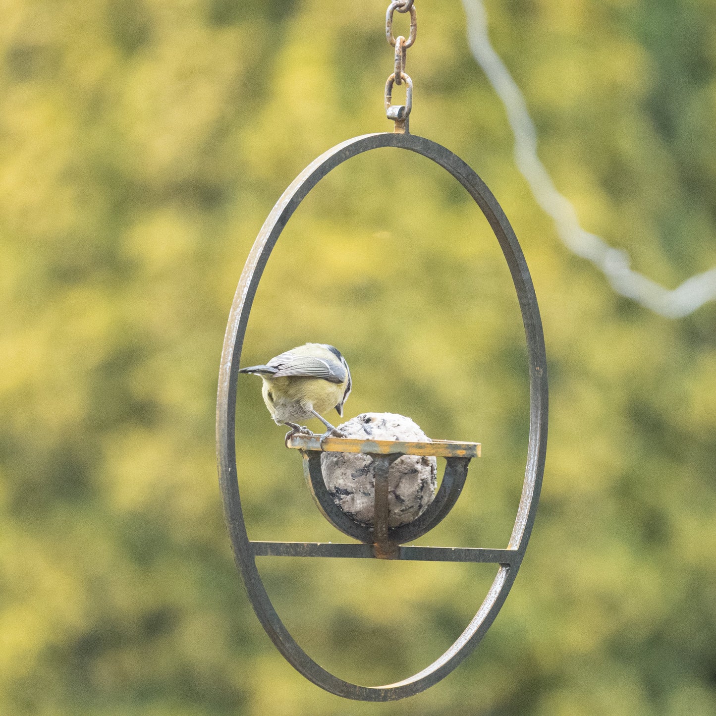 Savageworksuk hanging fat ball bird feeder with metal hook and clear plastic container for feeding garden birds.