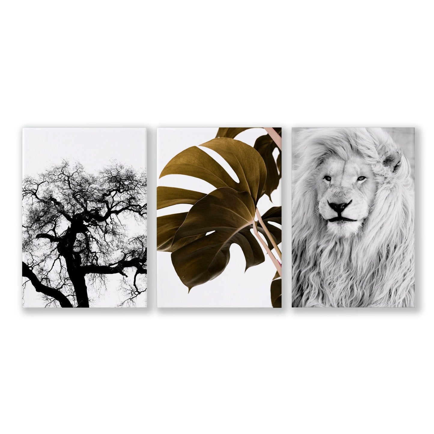 Set of 3 wildlife wall art prints featuring African animals for bedroom decor, by About Wall Art.