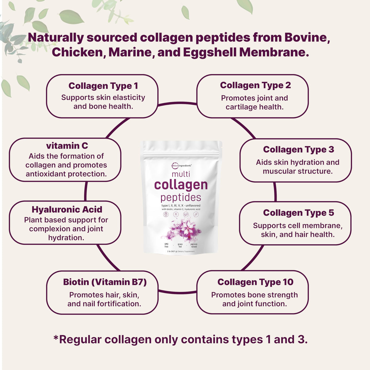Micro Ingredients Multi Collagen Peptides Powder 2lb | Types I, II, III, V & X