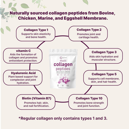 Micro Ingredients Multi Collagen Peptides Powder 2lb | Types I, II, III, V & X