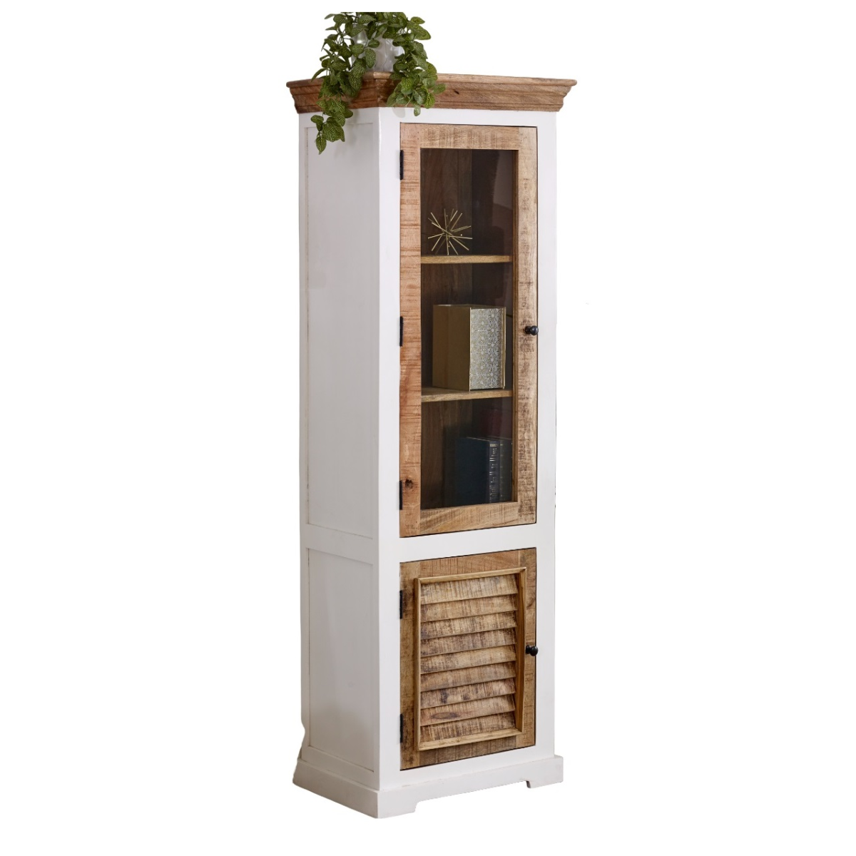InStock Alfie wood bookcase with 3 shelves and a door, perfect for displaying books and decorative items in a home or kitchen.