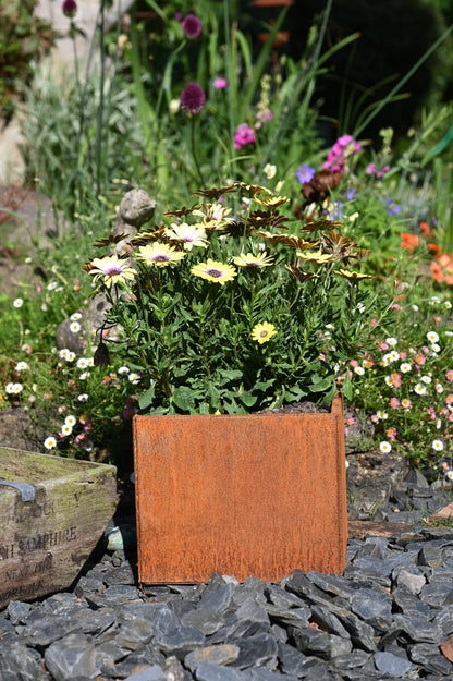 Rusty square plant pot by savageworksuk with a weathered, textured surface ideal for indoor or outdoor plants.