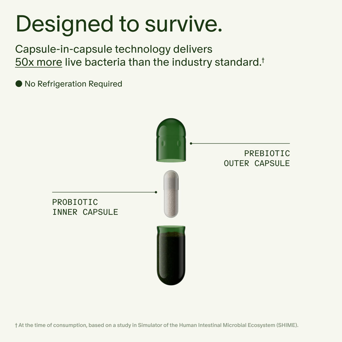 Seed DS-01® Daily Synbiotic | 24-Strain Prebiotic & Probiotic | 60 Capsules