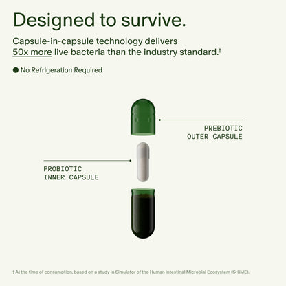 Seed DS-01® Daily Synbiotic | 24-Strain Prebiotic & Probiotic | 60 Capsules
