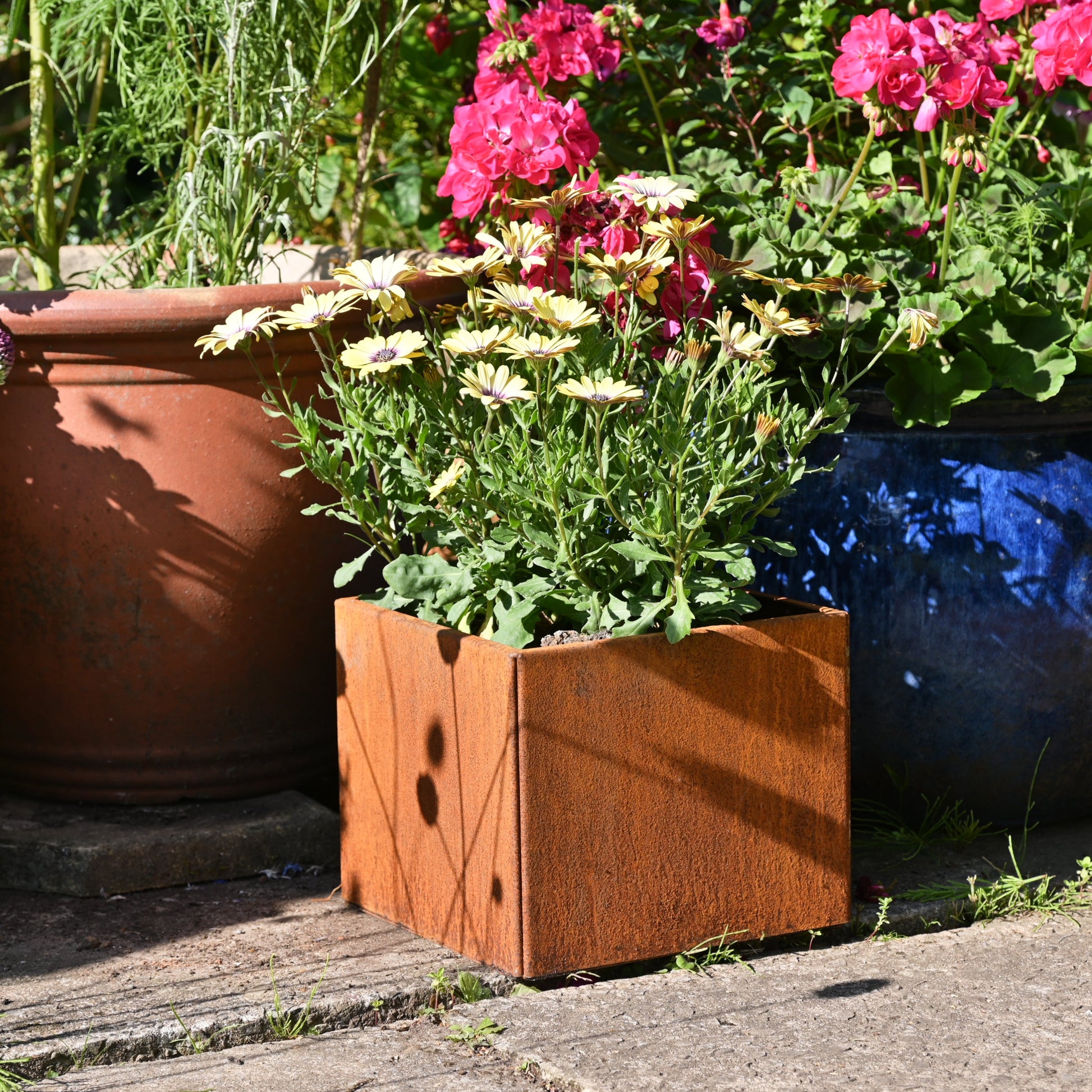 Rusty square metal plant pot by savageworksuk, ideal for outdoor or indoor plants with a weathered, rustic finish.